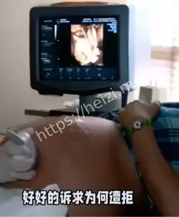 冷冻胚胎使用争议